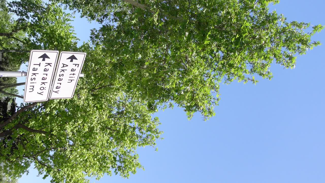 Street Signs and Trees