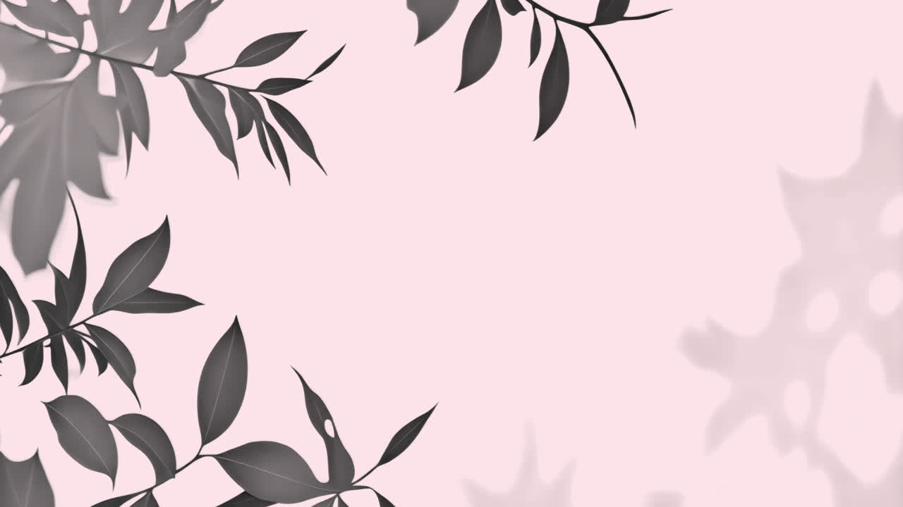 Elegant botanical leaf design animated overlay, transparent 4K video, alpha channel, ProRes 4444