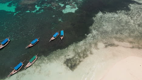 tropical beach with traditional boats and visitors from an aerial view