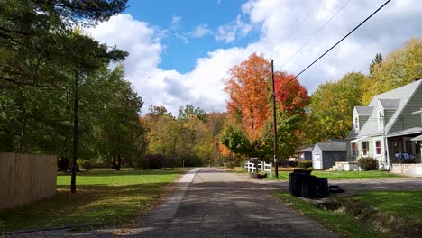 caminando tranquilamente en la calle entre el paisaje de árboles de otoño