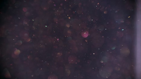 el polvo de la naturaleza se levanta lentamente sobre el fondo gris, las burbujas borrosas de bokeh brillan en primer plano.