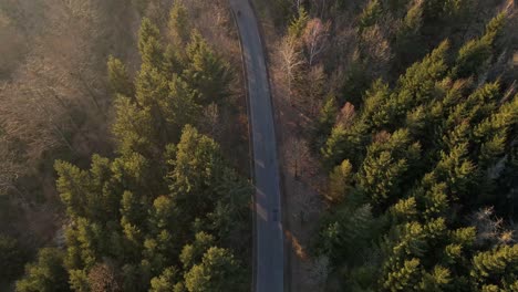 a cyclist making his way up a curved forest road at sunset while car is approaching