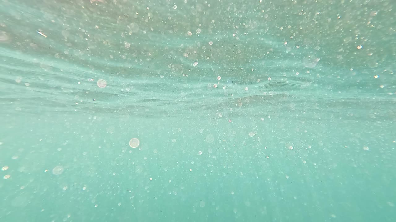 떠다니는 입자와 함께 평온한 수중 장면