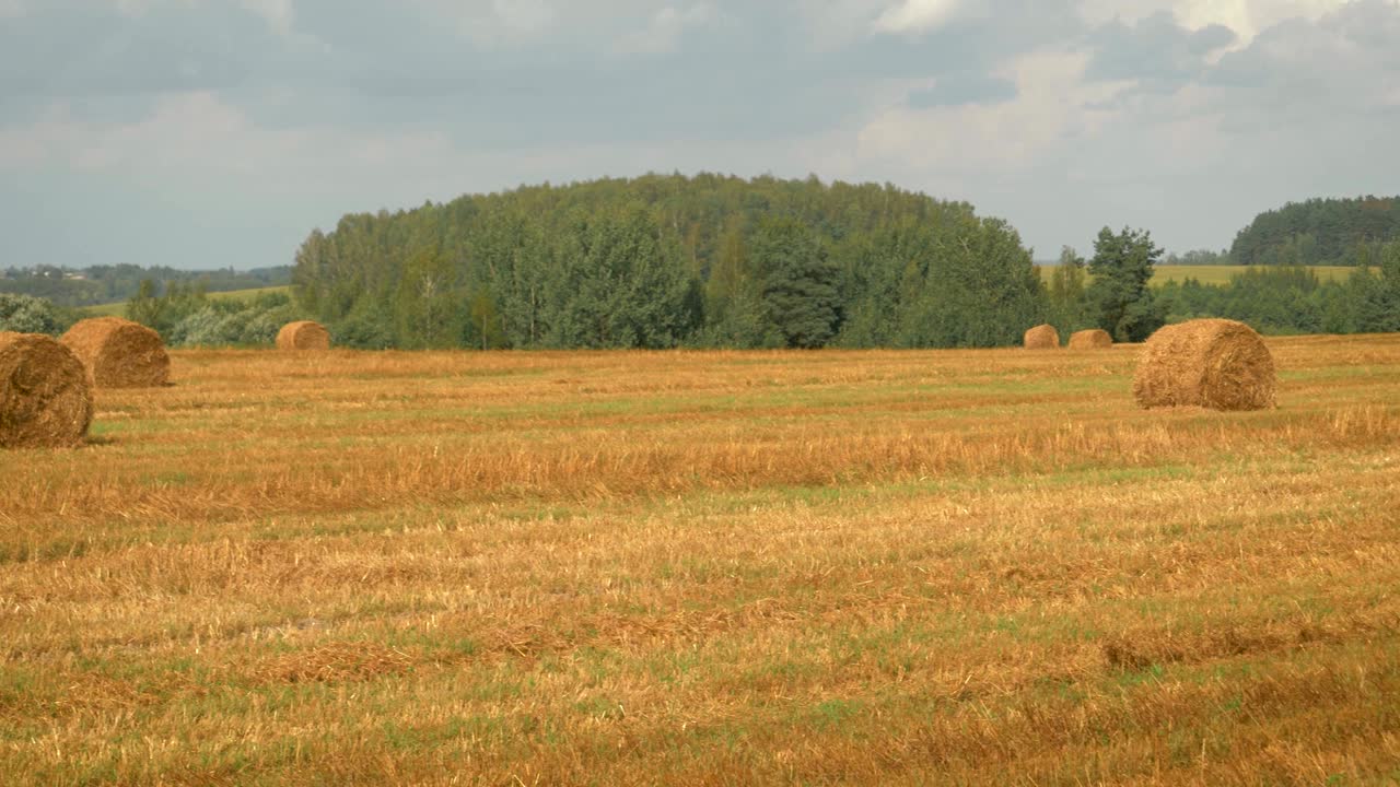 panorama de un campo agrícola con pajares en un caluroso día de verano después de la cosecha