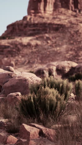 a desert landscape with a red rock formation in the background