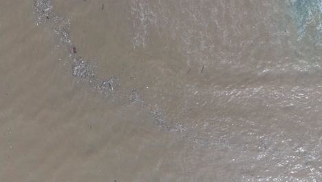 Top-down-drone-shot-of-polluted-water-filled-with-floating-trash-and-muddy-river-runoff-mixing-with-turqouise-tropical-water-of-Bali-Indonesia