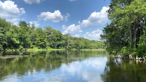 enjoying a boat ride on the river in the wakulla springs state park in tallahassee, florida on a bright summer day