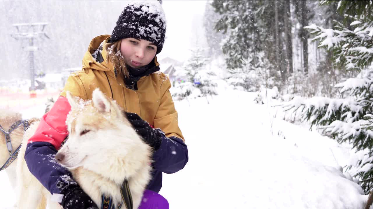 Piękna dziewczyna przytulająca psa. Dziewczyna z syberyjskim husky.