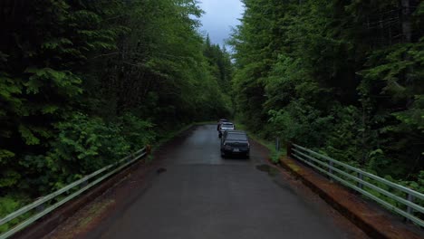 Caravan-of-cars-moving-down-forest-road-in-Olympic-National-Forest,-Washington