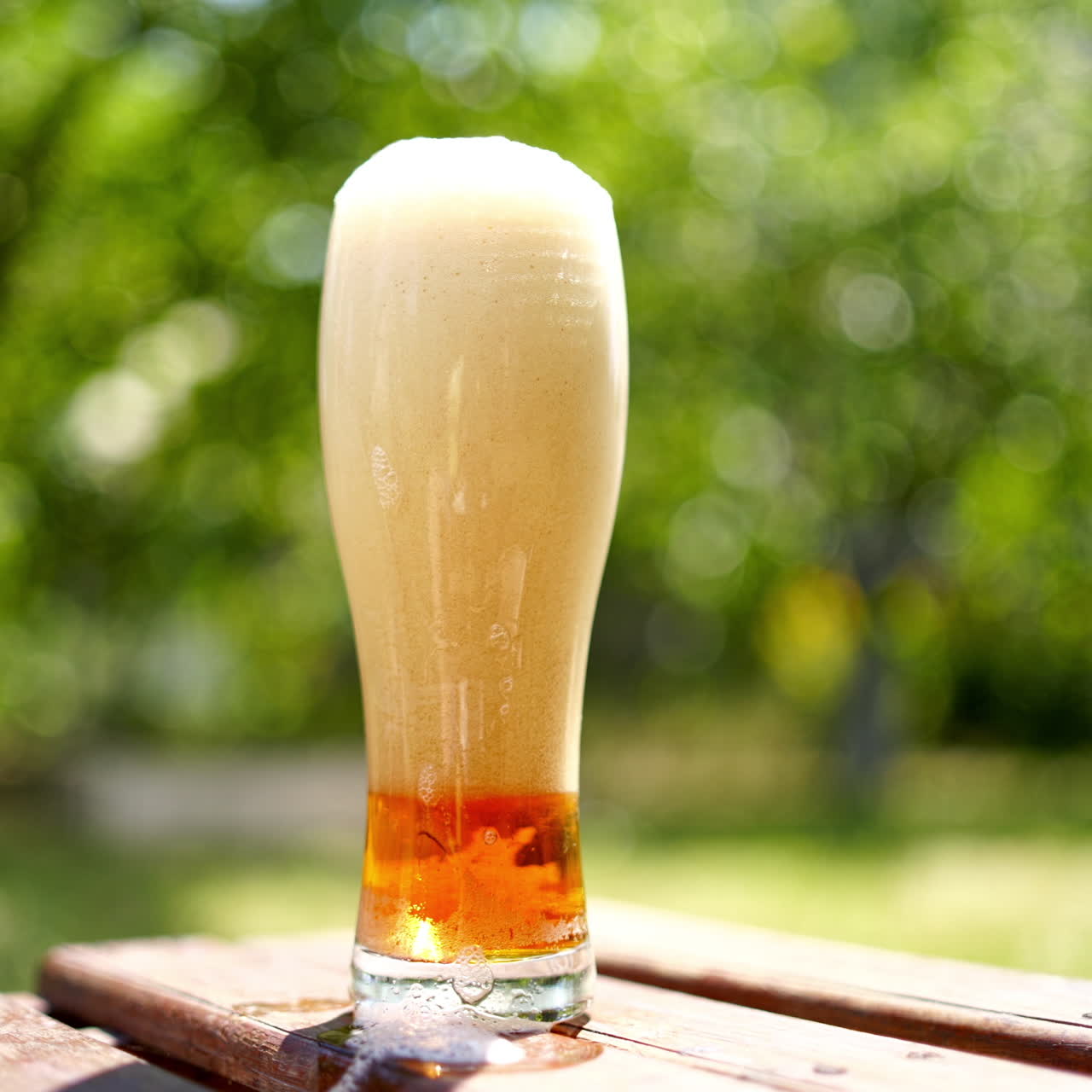 Full glass of white foam from beer. Process of becoming beer beverage from foam in the glass on blurred background. Bubbles and foam in beer glass.