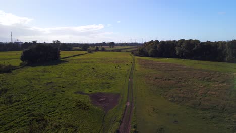 field path at horse paddock