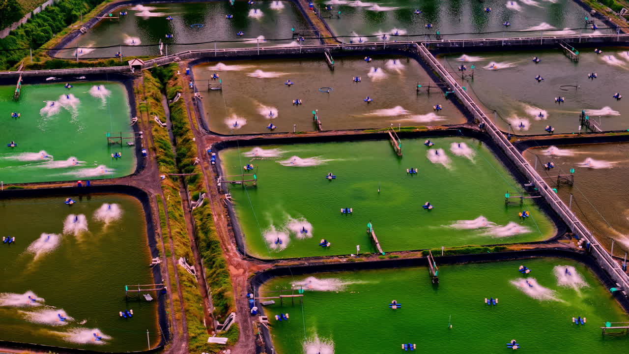 An expansive aerial view flying over numerous fish, lobster, or shrimp aquaculture farms in Indonesia, showcasing large, active ponds