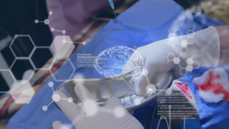 red mundial de medicina y ciencia