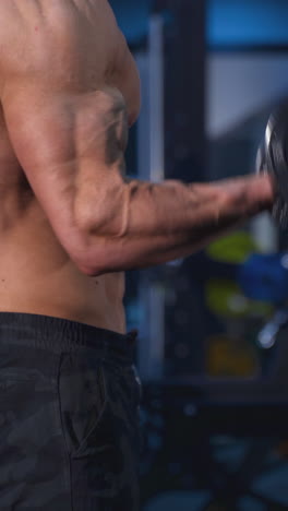 bodybuilding workout in gym