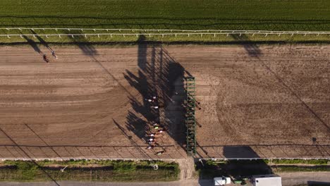 unique view of start of horse race at starting gate