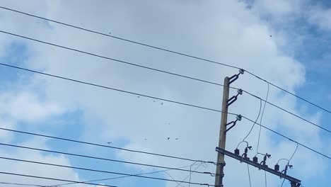 Low-angle-shot-of-white-cloud-movement-behind-electric-pole-and-electric-wires-along-beautiful-tranquil-scene-at-daytime