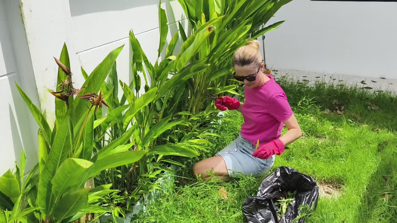 여성 정원 가꾸기 및 식물 절단