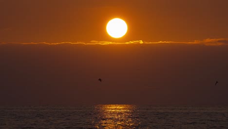 Puesta-De-Sol-Naranja-Amarilla-Dorada-Sobre-Las-Nubes-Y-El-Océano-Con-Pájaros-Volando