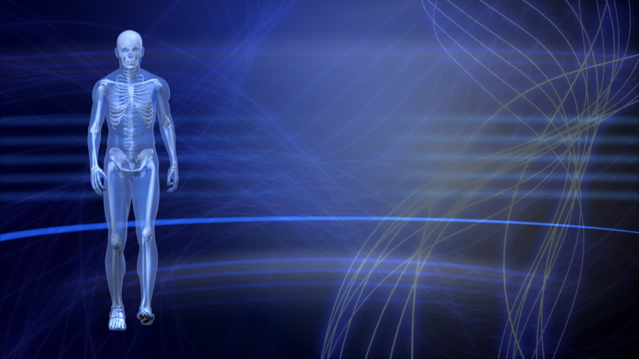 анимация человека прототипа ходьбы