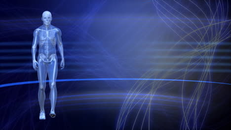 animation of man prototype walking