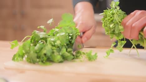 an at-home cook chops a bunch of cilantro in half, slicing through to separate the stems from the leafy tops.