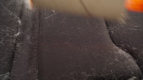 persona irreconocible limpia la mochila negra de la mascota de piel con un rodillo especial