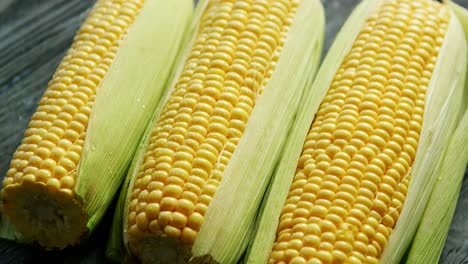 fresh maize in leaves