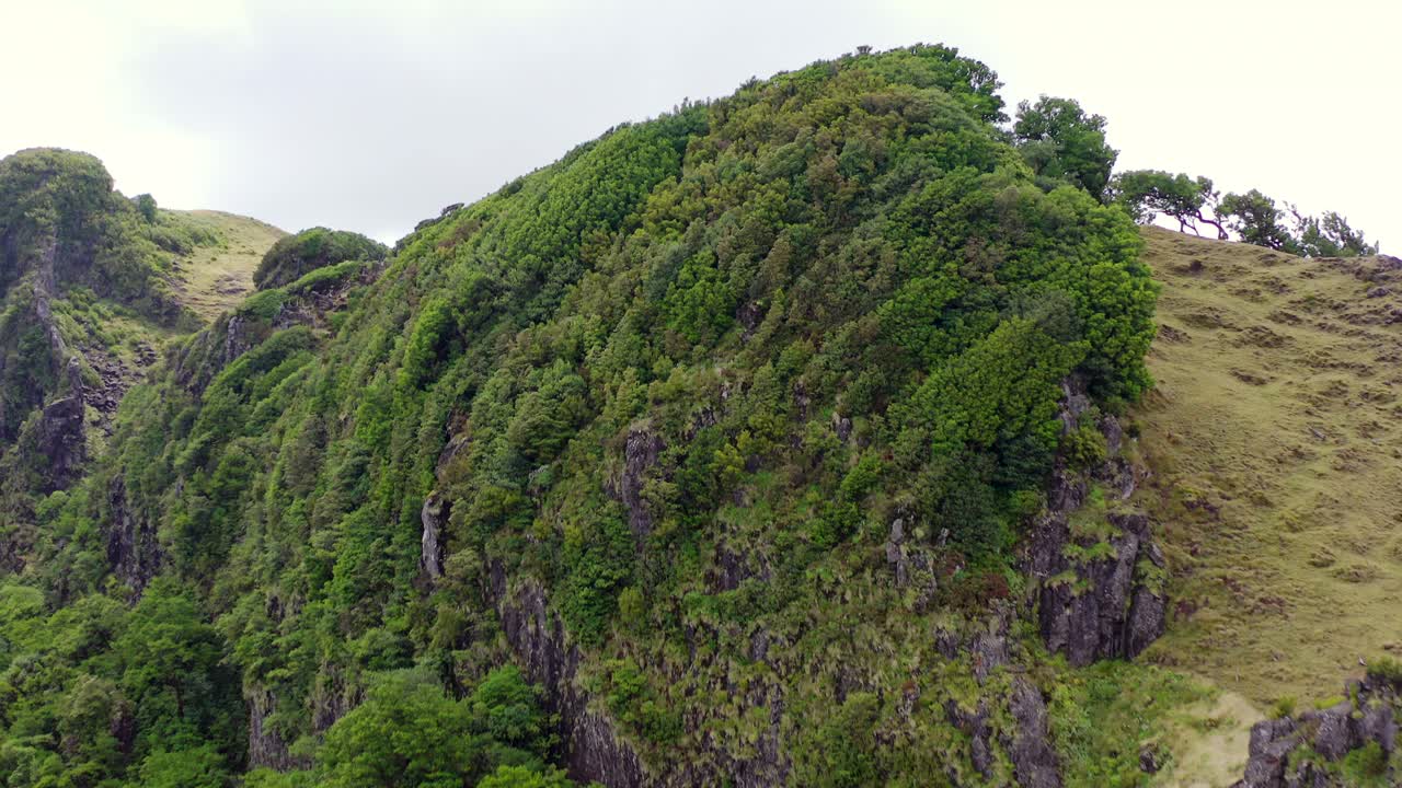 vista aérea del bosque fanal en madeira