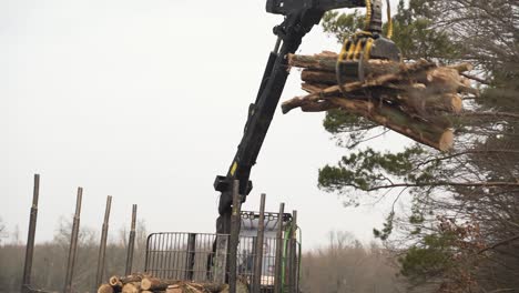Mechanical arm of grapple loader unloading logs on pile by forest road