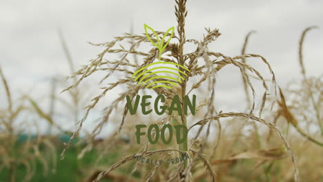 animación de texto de comida vegana sobre un primer plano de un campo de trigo