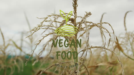 vegan food text animation over close-up of wheat field