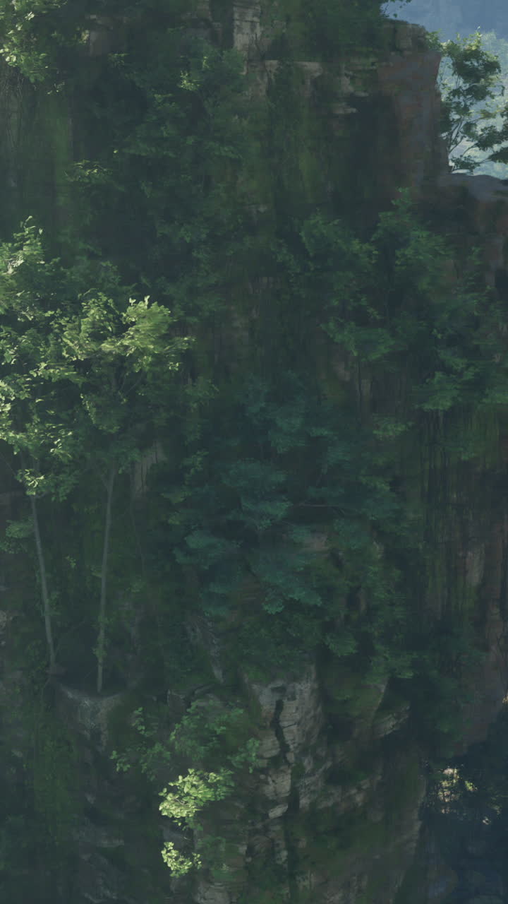 vegetación verde y exuberante a orillas de los acantilados