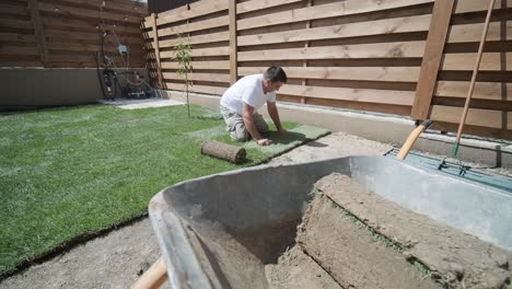 gardener laying a roll of natural lawn turf