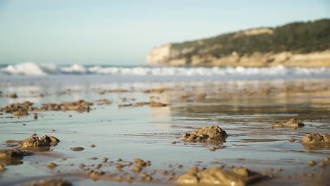 primer plano del deslizador de una hermosa playa con olas tranquilas mientras un caballo galopa en la arena