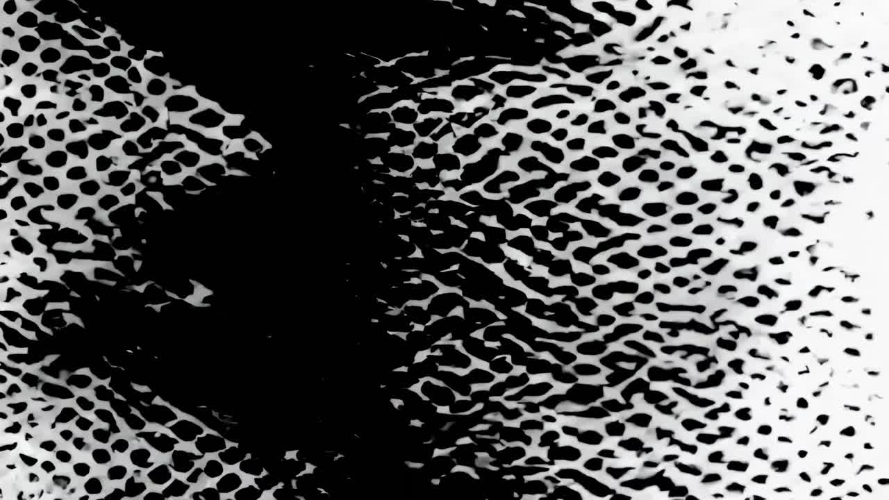 Abstract black and white pattern with dots and waves