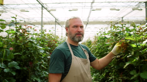 Cheerful-Man-Posing-for-Camera-in-Flower-Greenhouse