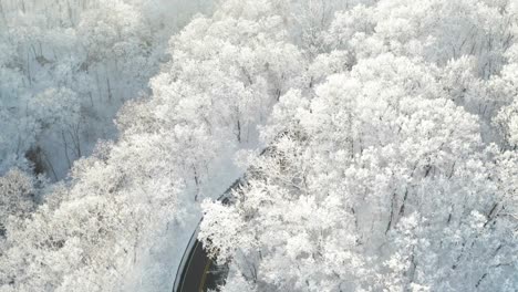 Kurvige-Asphaltstraße,-Umgeben-Von-Einem-Magischen,-Weißen,-Frostigen-Wald