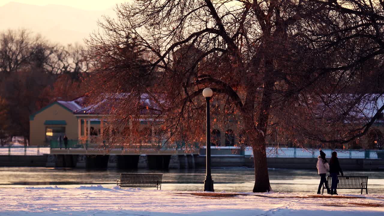 따뜻한 빛을 배경으로 공원을 산책하는 여성들