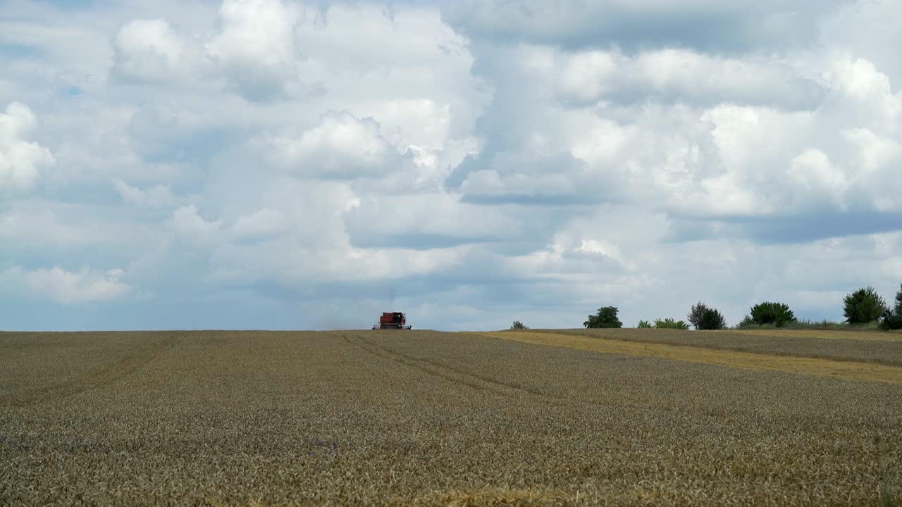 Combine harvester in action on the field. Harvest time