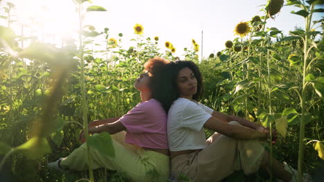 Frauen-In-Einem-Sonnenblumenfeld