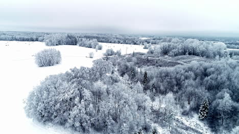 Maravilloso-Paisaje-Invernal-Del-País-De-Las-Maravillas,-Campo-Y-Bosque-En-Clima-Nevado