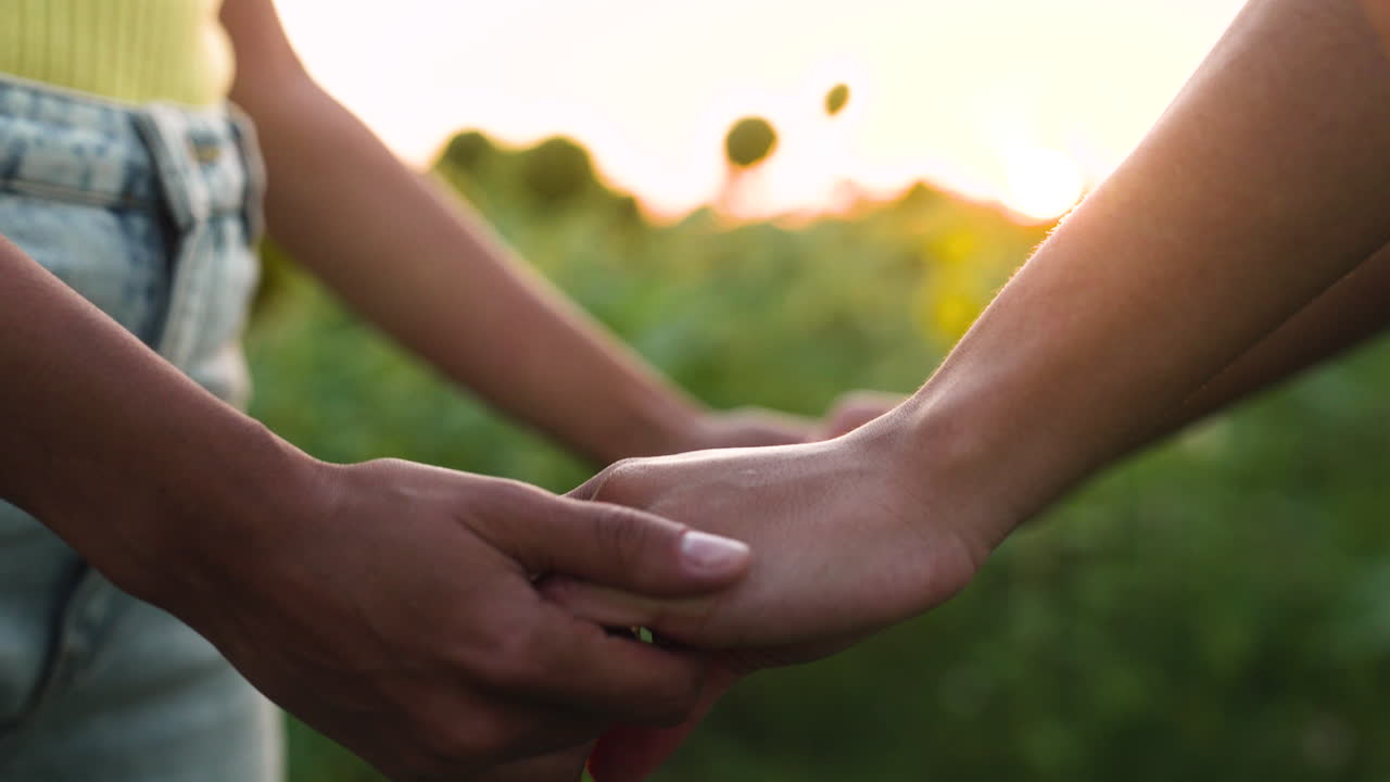 해바라기 들판 에 있는 여자 들