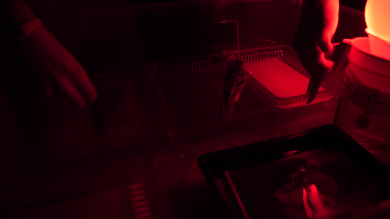 procesamiento fotográfico en cámara oscura