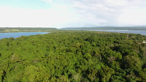 Drone-Volando-Sobre-La-Selva-Tropical-Cerca-Del-Océano-En-Vanuatu