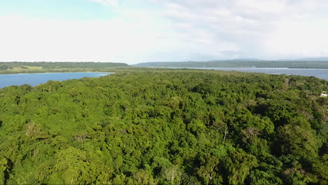 drone flying over tropical jungle near the ocean in vanuatu