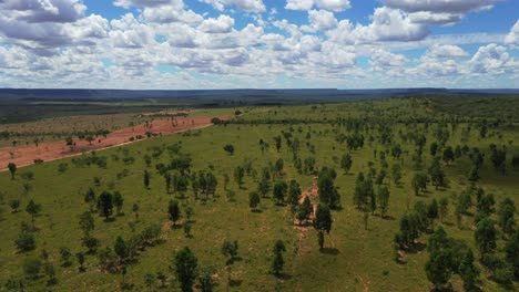 Wilderness-of-the-Brazilian-Savannah-before-being-deforested-to-make-soybean-farmland