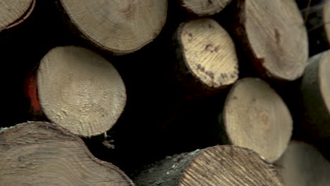 close up details of tree logs cut for fuel and stocked in a pile - forest clearing in koleczkowo, poland - panning shot