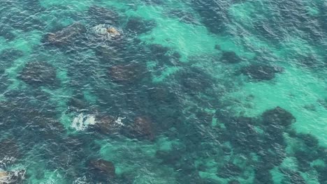 Viewing-a-spectacular-ocean-coastline-with-perfectly-clear-water-from-a-cliff