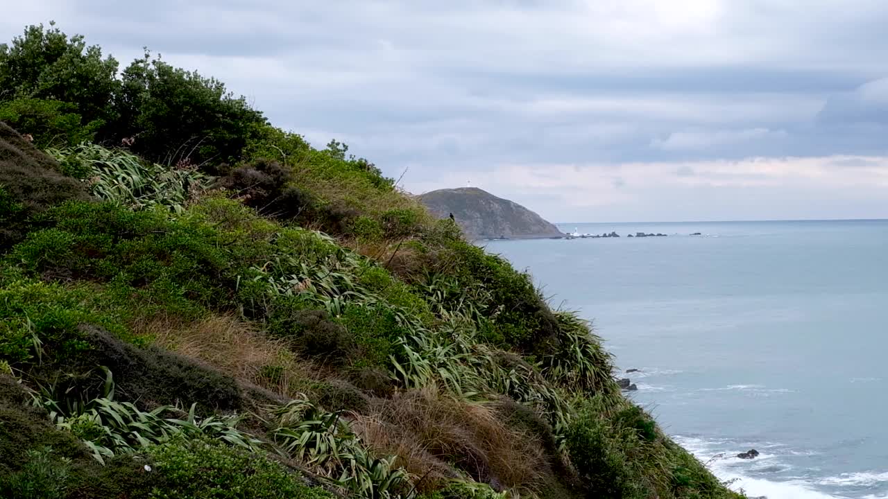 hermoso paisaje montañoso y accidentado cubierto de plantas, pájaros volando, faro de pencarrow y océano en wellington, nueva zelanda aotearoa