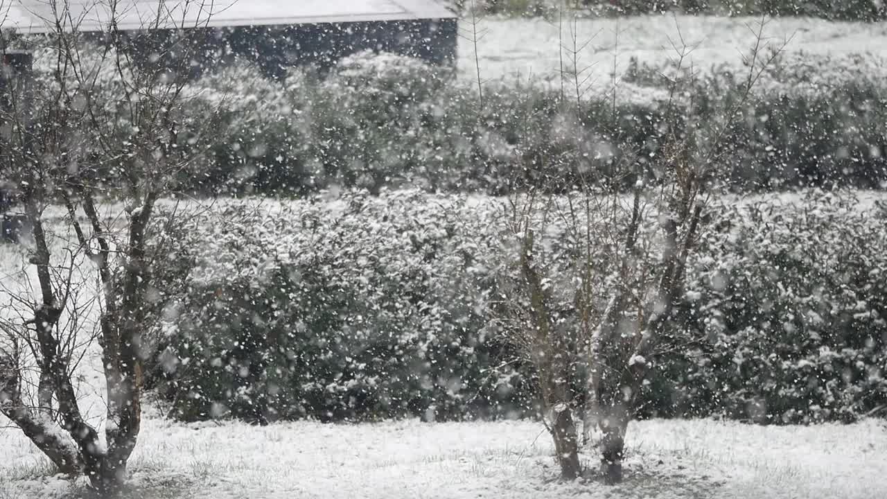 눈  ⁇ 인 겨울 풍경